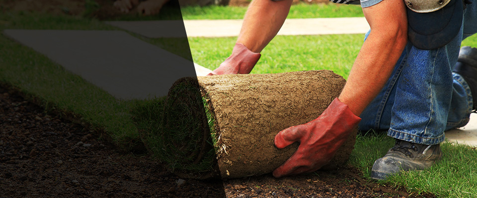 La Grange Park Landscapers